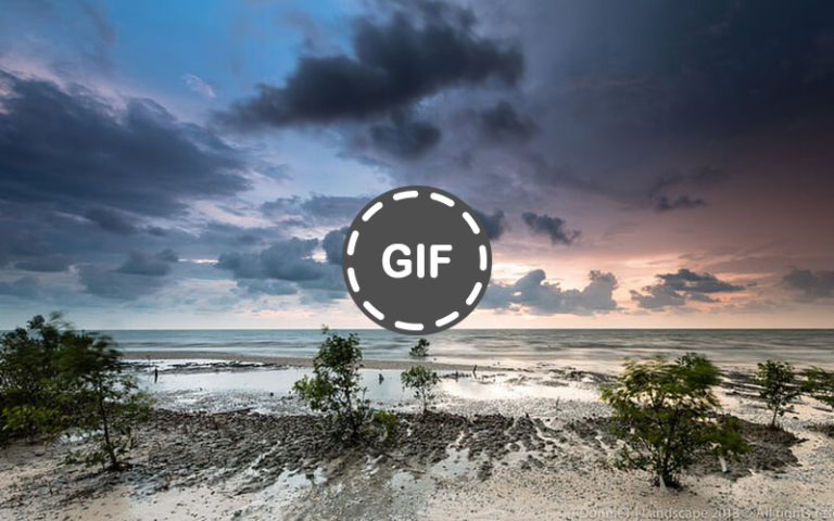 A Perfect Spot For Picnics 2025 A Perfect Spot For Picnics 2025