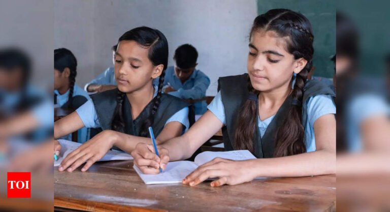 Haryana board issues DElEd re-appear exam admit cards: How to download hall tickets from bseh.org.in