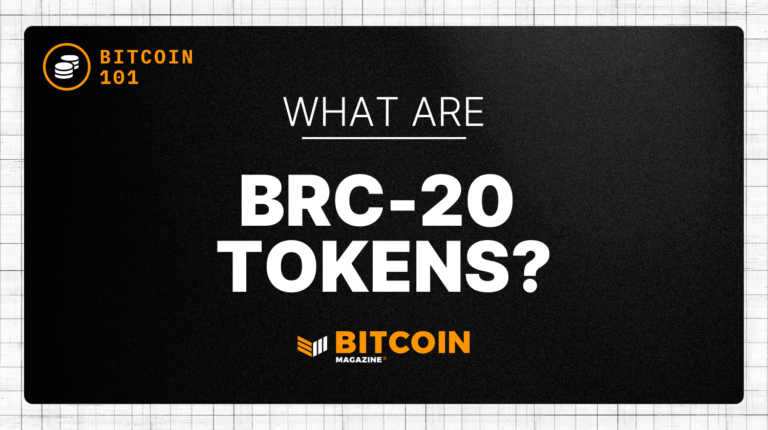 What Are BRC-20 Tokens? An Introduction What Are BRC-20 Tokens? An Introduction