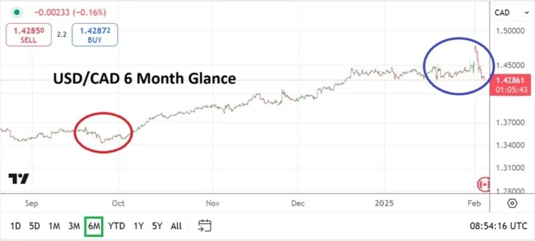 What’s Next for the Forex Market?