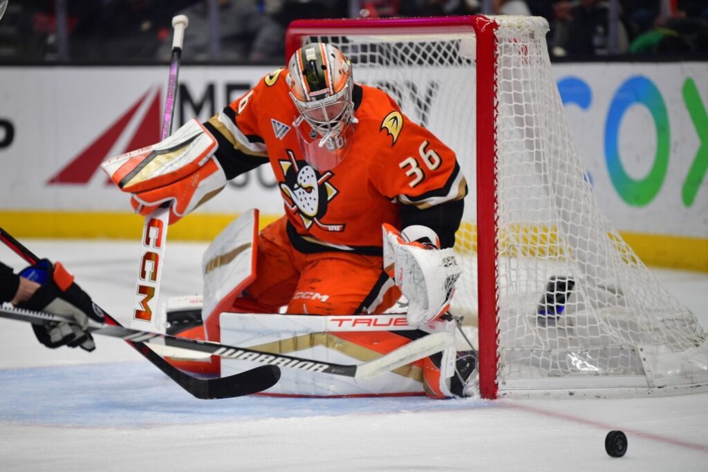 Anaheim Ducks 2025 Trade Deadline Moves: A Push for the Playoffs Anaheim Ducks 2025 Trade Deadline Moves: A Push for the Playoffs