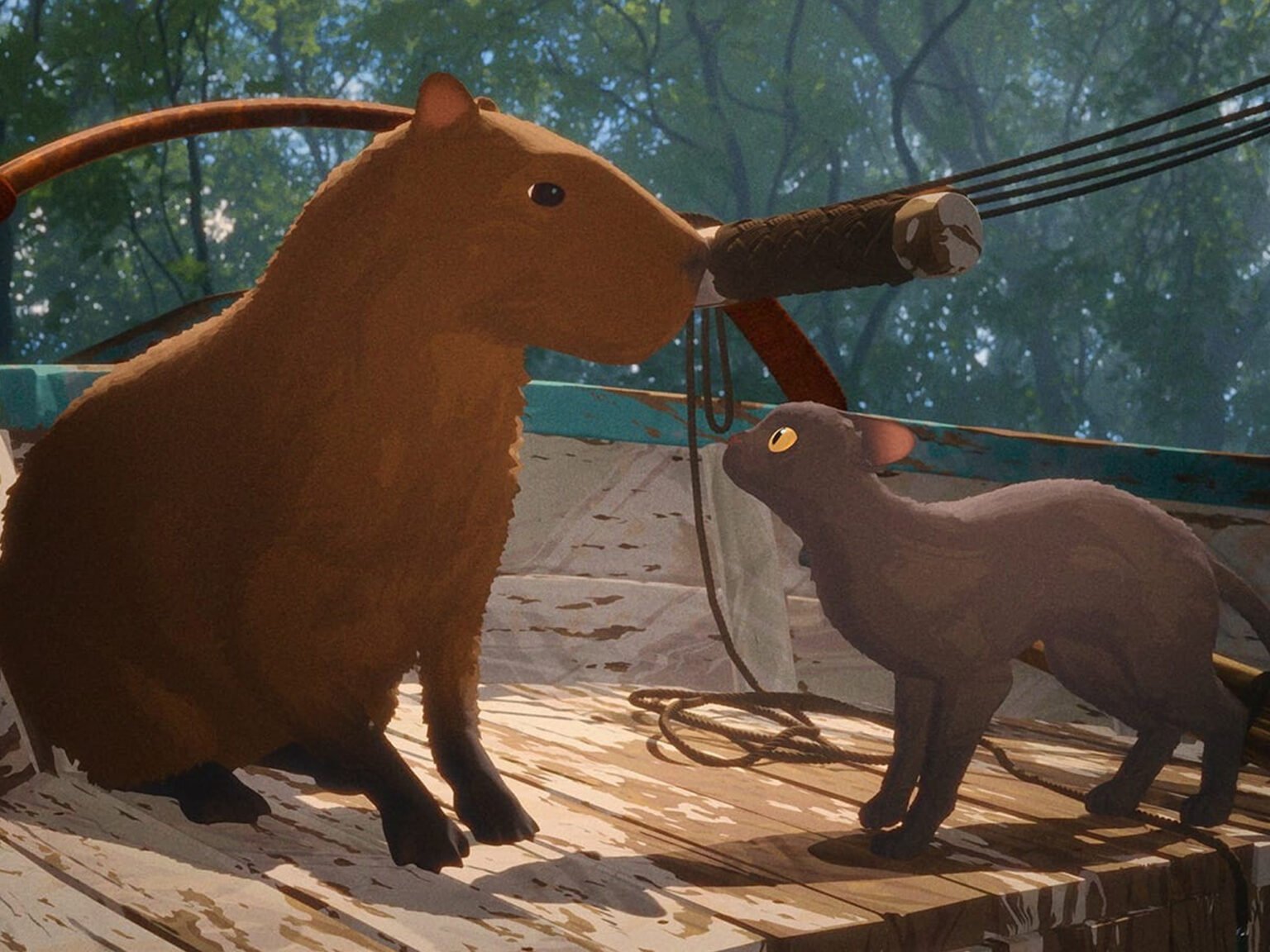 Flow review – cat’s entertainment