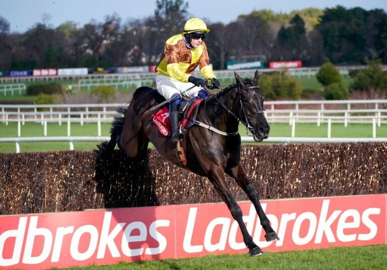 Galopin Des Champs and Constitution Hill headline all-star cast Galopin Des Champs and Constitution Hill headline all-star cast