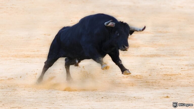 Is the bull run over