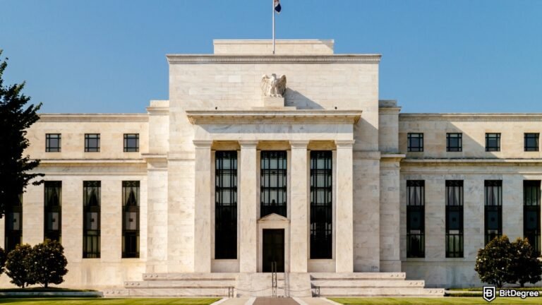 The Fed slows down QT