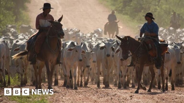 Could South America benefit from Trump’s trade tariffs?