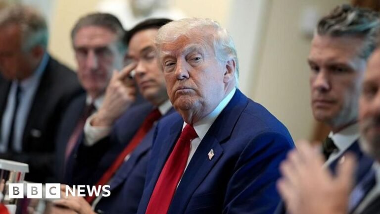 Tariffs court fight threatens Trump’s power to wield his favourite economic weapon