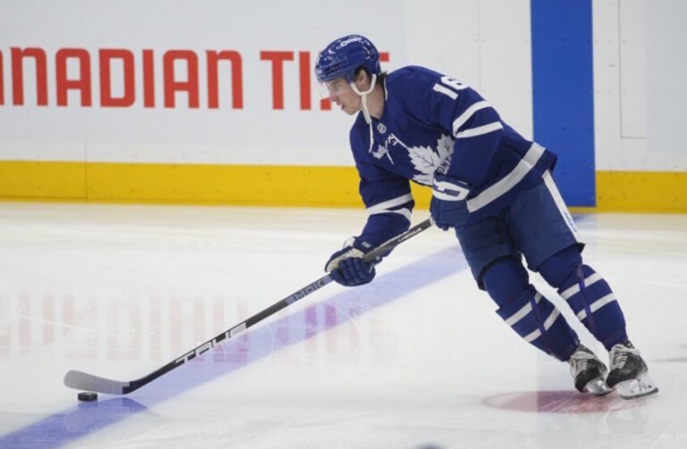 Mitch Marner’s Strengths and Weaknesses and Who Should/Shouldn’t Try to Sign Him