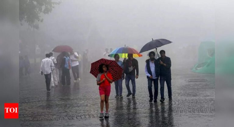 Schools in Surat shut amid flood threat as rains lash Gujarat