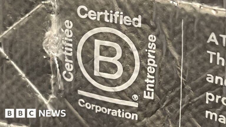 The global environmental award hit by accusations of greenwashing The global environmental award hit by accusations of greenwashing