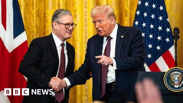 UK temporarily spared from Donald Trump’s 50% metal tariffs