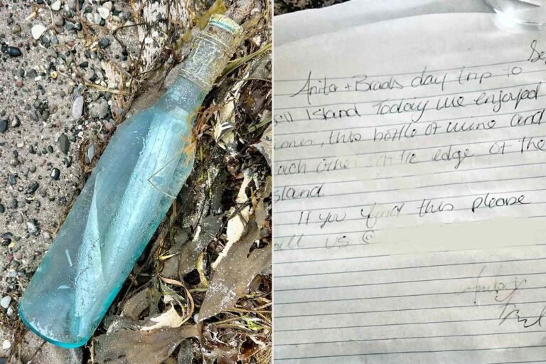 Couple Shocked After Their Message in a Bottle Found 13 Years Later (Exclusive) Couple Shocked After Their Message in a Bottle Found 13 Years Later (Exclusive)