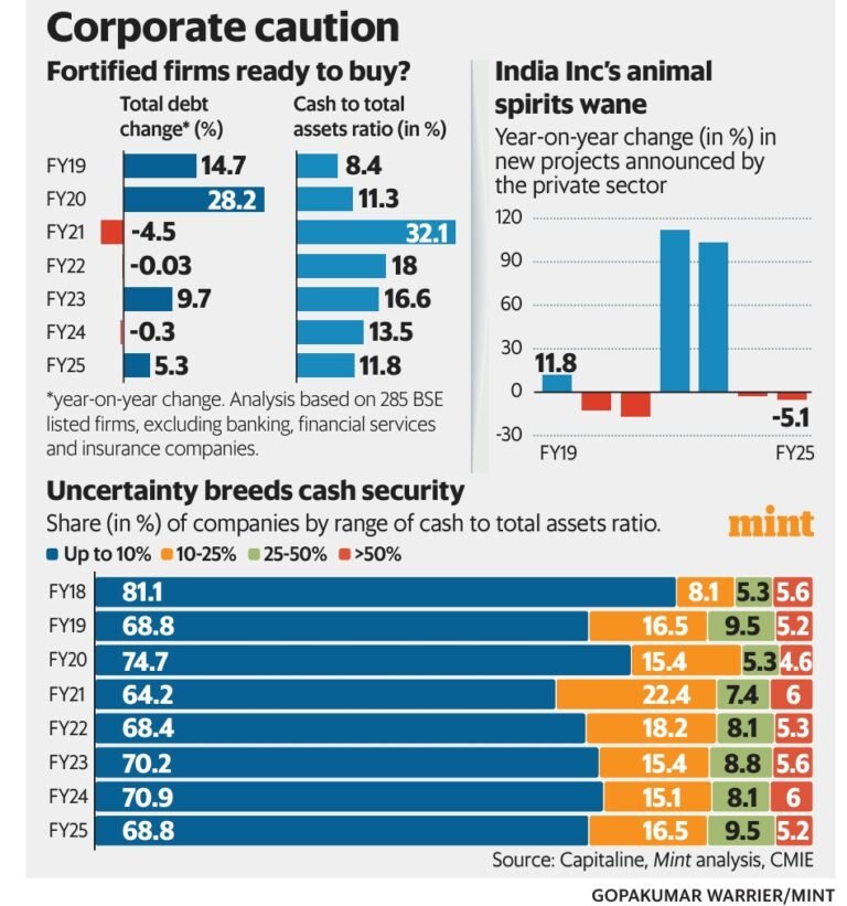 India Inc : Missing Animal Spirits India Inc : Missing Animal Spirits