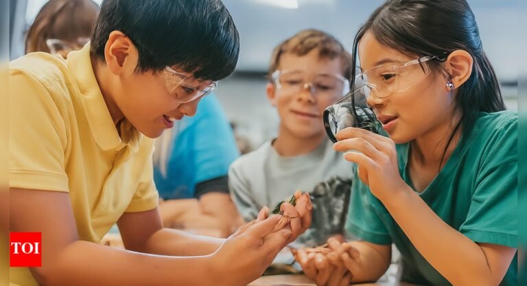 Now Idaho school districts blindsided as US withholds over  million in federal aid