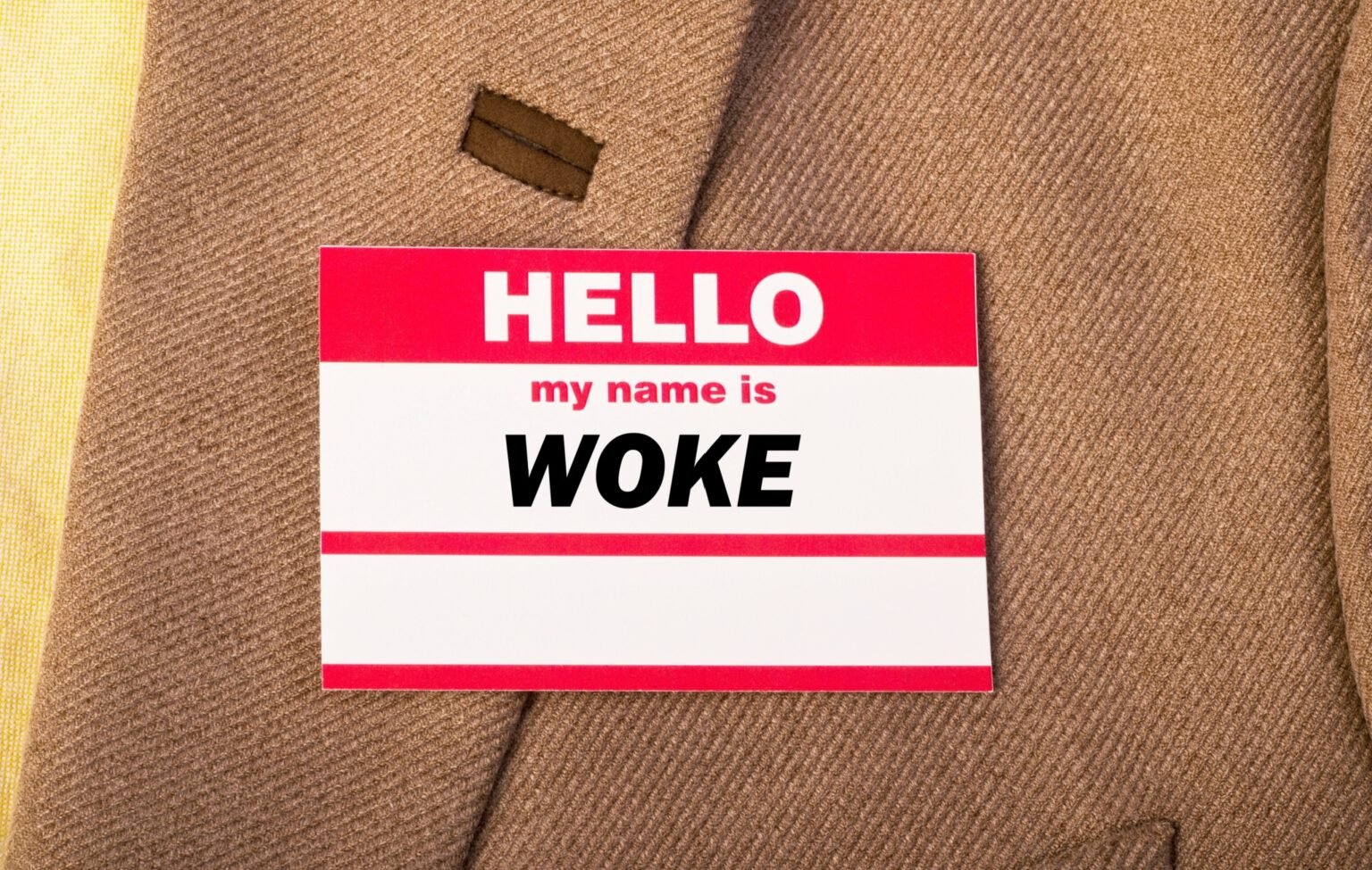 Who Are (or Were?) the Woke? Who Are (or Were?) the Woke?