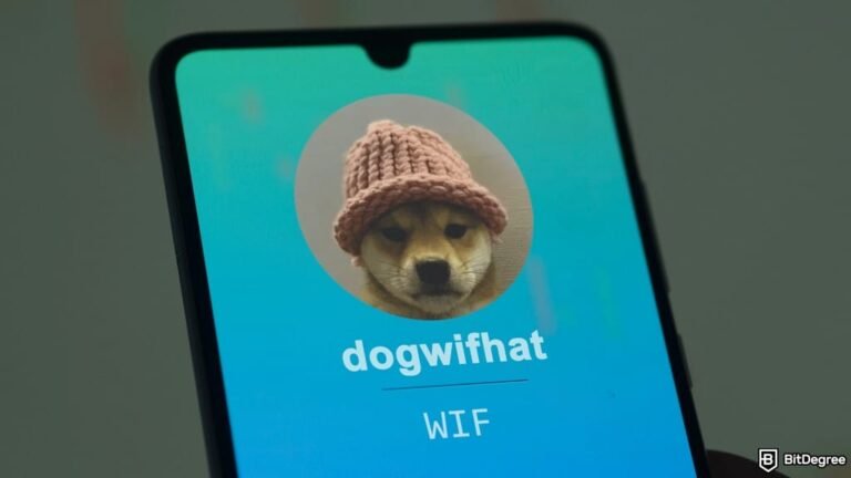 Dogwifhat’s Knit Cap Fetches Nearly 0K in BTC Auction