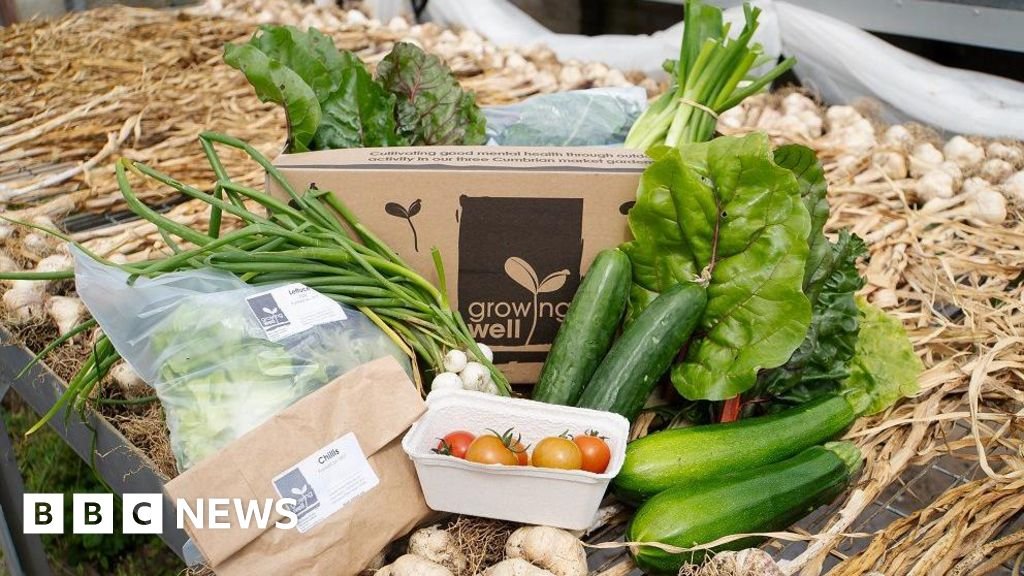 Mid Copeland low income families offered vegetable boxes Mid Copeland low income families offered vegetable boxes