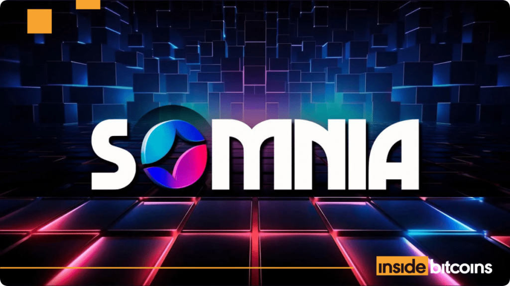 NFT Marketplace Rarible Adds Support For Somnia NFTs NFT Marketplace Rarible Adds Support For Somnia NFTs