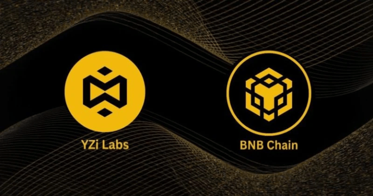 Boosting Startups on BNB Chain