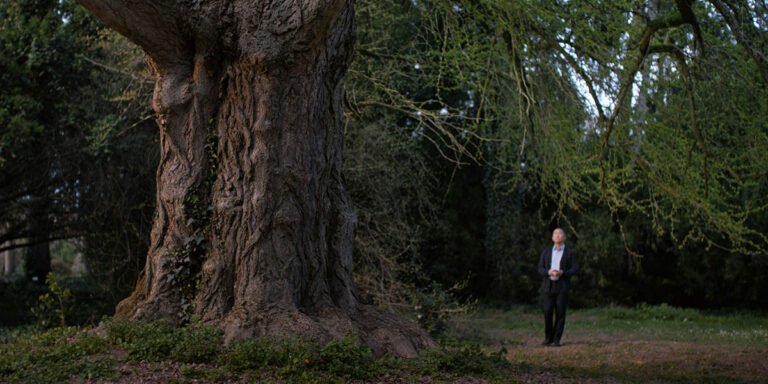 CIFF 2025: Silent Friend, Calle Malaga, Belén  | Festivals & Awards