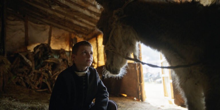 CIFF 2025: The Beauty of the Donkey, The Eyes of Ghana, Below the Clouds | Festivals & Awards CIFF 2025: The Beauty of the Donkey, The Eyes of Ghana, Below the Clouds | Festivals & Awards