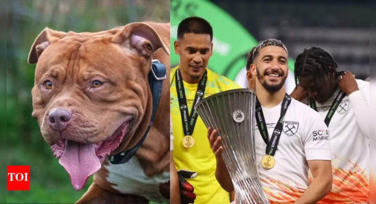 Footballer fined Rs 14 lakh! ‘Banned’ pet dogs attack man, golden retriever | Football News Footballer fined Rs 14 lakh! ‘Banned’ pet dogs attack man, golden retriever | Football News