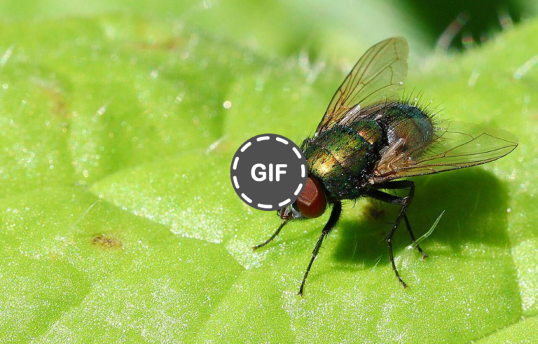 Keindahan Alam Yang Sering Terabaikan » Dashofinsight Keindahan Alam Yang Sering Terabaikan » Dashofinsight