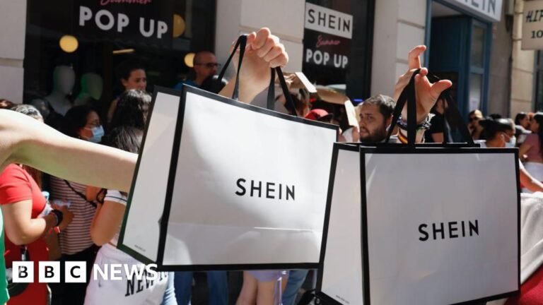 Shein to open its first permanent outlets in France