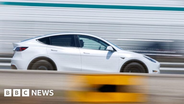 Tesla shares fall as lower-cost Model Y and Model 3 disappoint Tesla shares fall as lower-cost Model Y and Model 3 disappoint