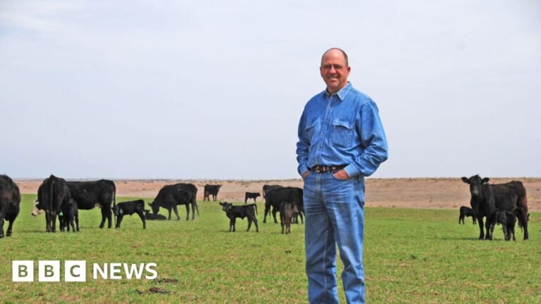 US beef prices are soaring. Will Trump’s plans lower them? US beef prices are soaring. Will Trump’s plans lower them?