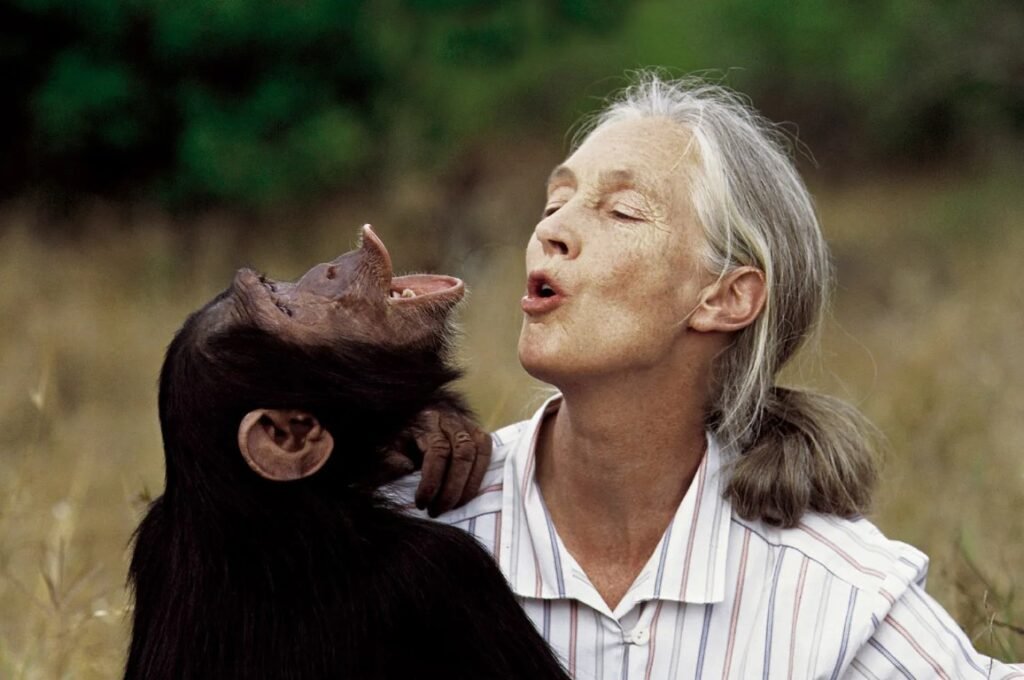 Your Life Matters: Jane Goodall (1934-2025) | Tributes