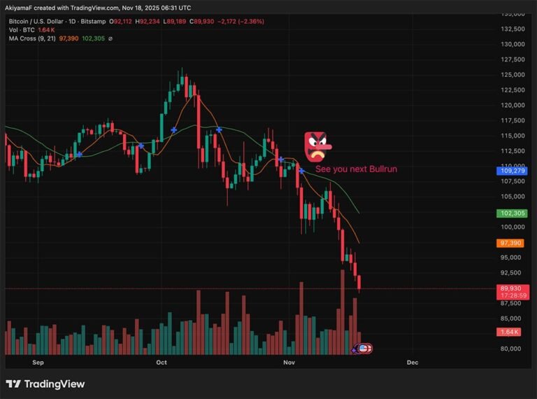 Crypto News Today, November 18: Why is Bitcoin Price Dropping? Are We Expecting a Bear Market as Bull Run Failed to Pump Altcoins?