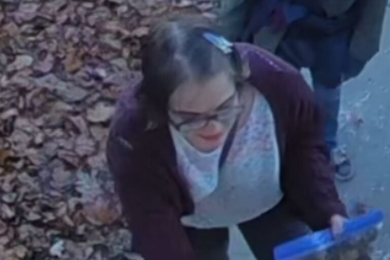 Slender Man Stabbing Attacker Morgan Geyser Is Missing