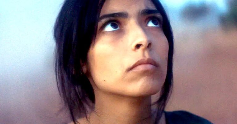 Animalia review – sci-fi in the most elusive…