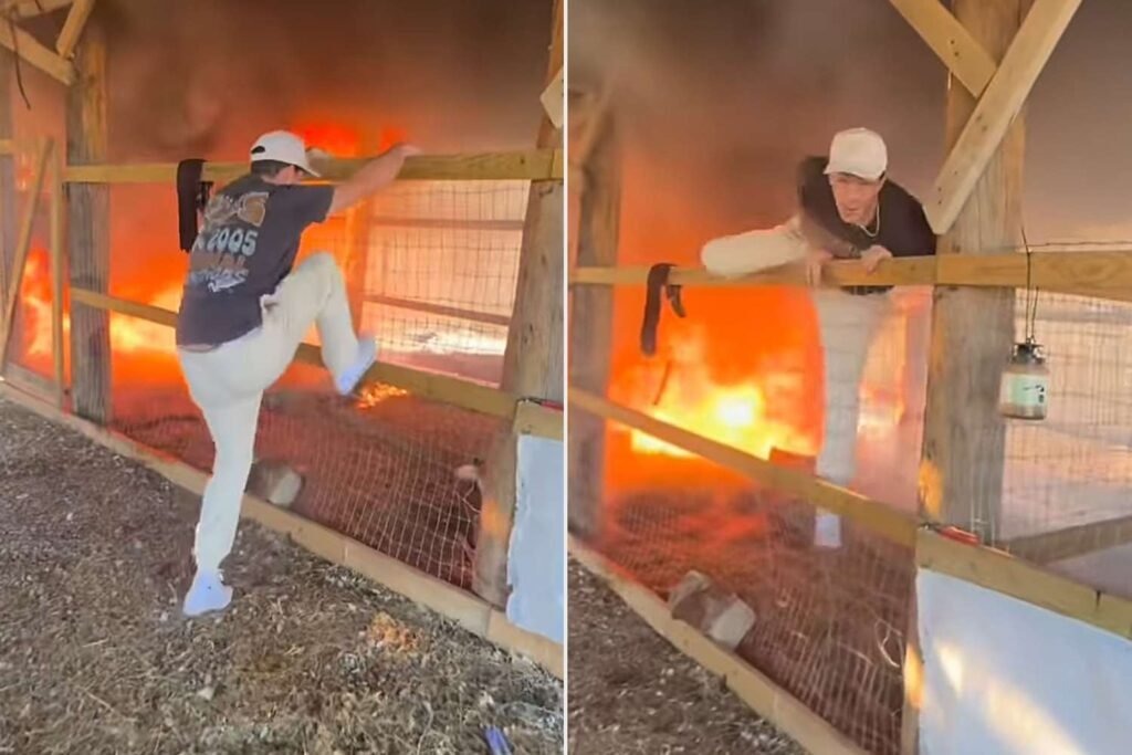 Country Star Tayler Holder Shares Video of Himself Saving Goats From Fire Country Star Tayler Holder Shares Video of Himself Saving Goats From Fire