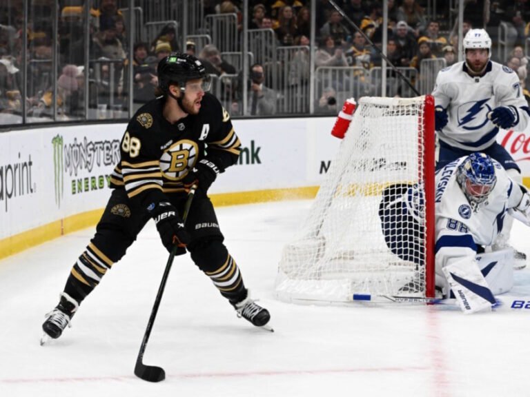 NHL Injuries: Bruins, Stars, Wild, Devils, Kraken, Lightning, Leafs, Mammoth, and Canucks