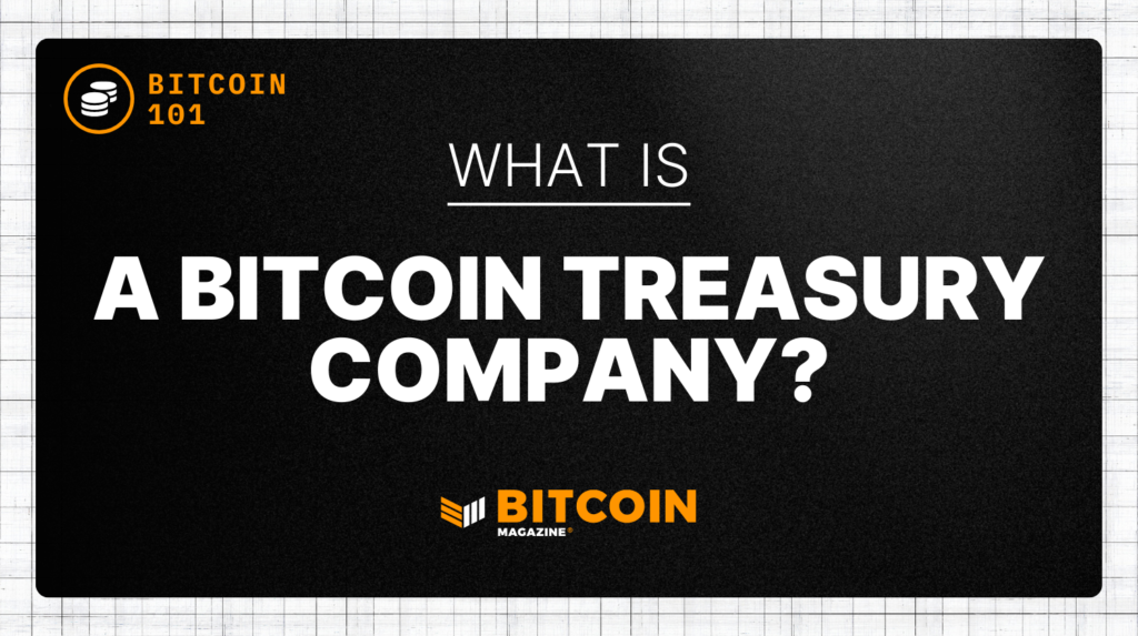What Is A Bitcoin Treasury Company? What Is A Bitcoin Treasury Company?