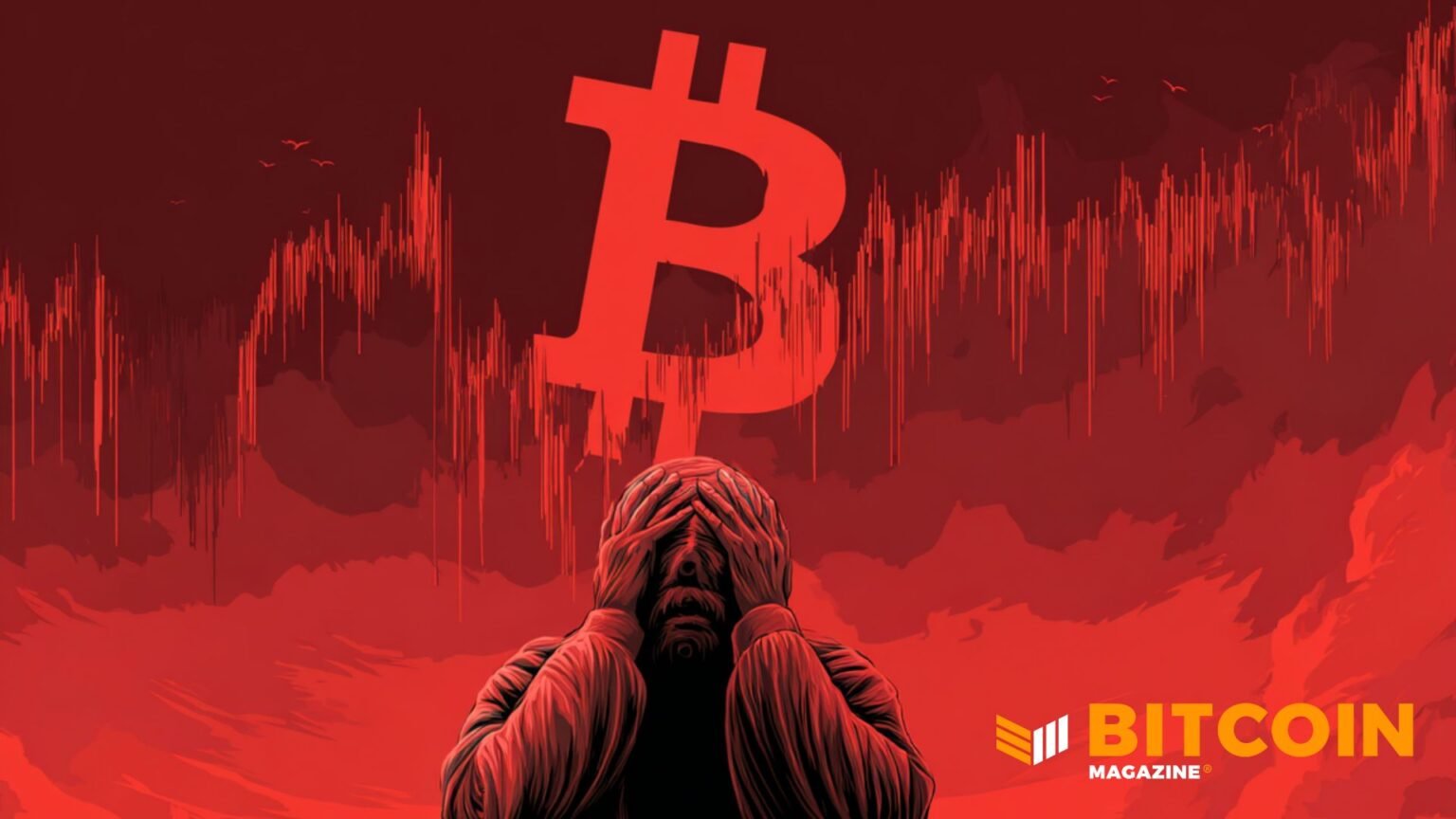 Bitcoin Price Plunges Nearly ,000 In Two Hours