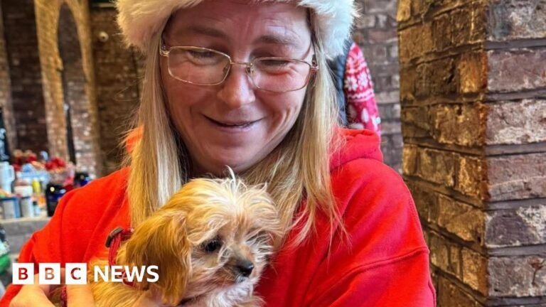 The pet food banks keeping animals with their owners