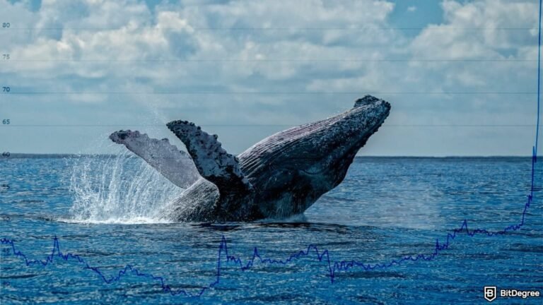 Whales are slowing down… should you worry? Whales are slowing down… should you worry?