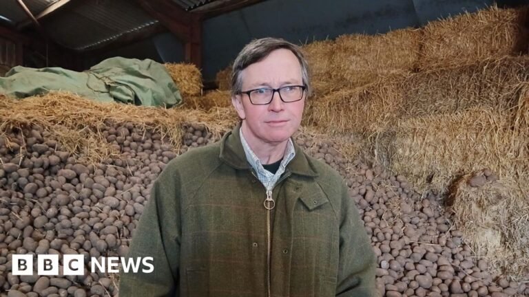 'Cost to supply potatoes has risen 40%' 'Cost to supply potatoes has risen 40%'
