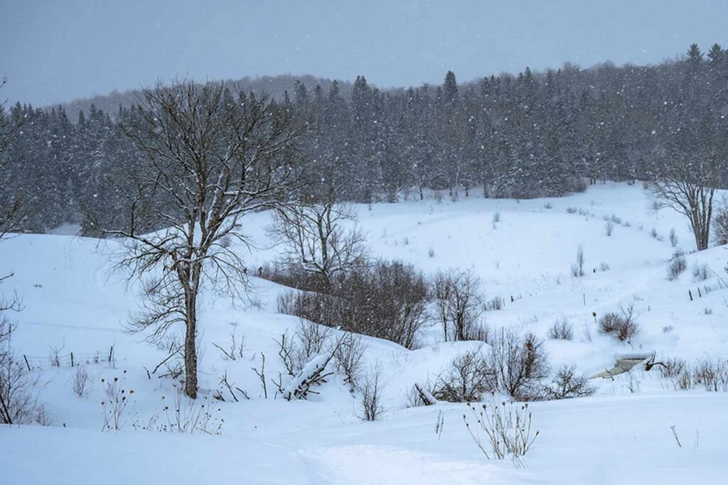 4-Year-Old Girl Dies After Adult Falls on Her in Tragic Sledding Accident on Cross-Country Ski Trail