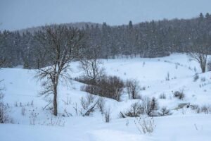 4-Year-Old Girl Dies After Adult Falls on Her in Tragic Sledding Accident on Cross-Country Ski Trail