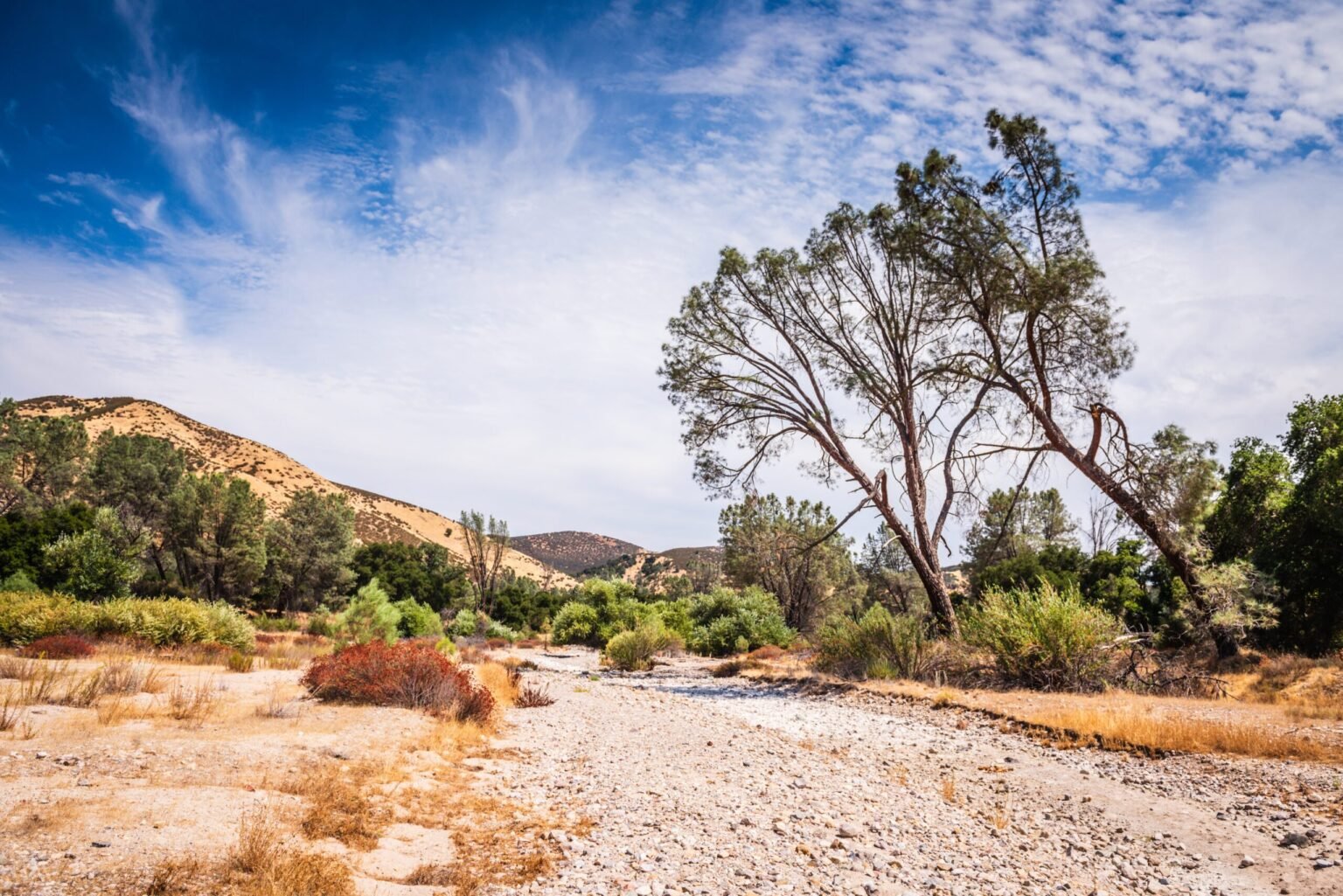 Cloud Seeding: A Better Way to Address Water Shortages Cloud Seeding: A Better Way to Address Water Shortages