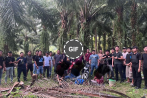 Operasi Berani Yang Ciptakan Keamanan