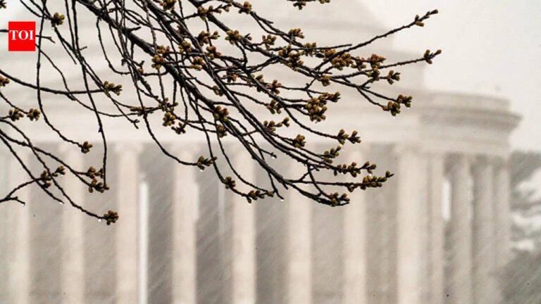 Severe storms force early school dismissals and closures across Washington, D.C. region