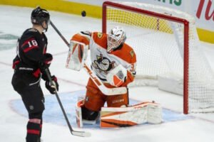 The Goalie Interference Dilemma in the NHL