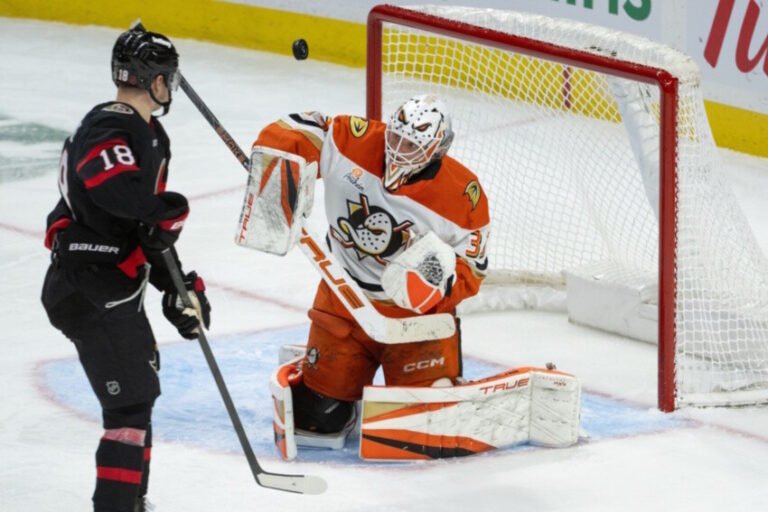 The Goalie Interference Dilemma in the NHL