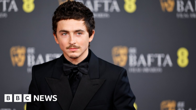 Timothée Chalamet triggers backlash over ballet and opera remarks