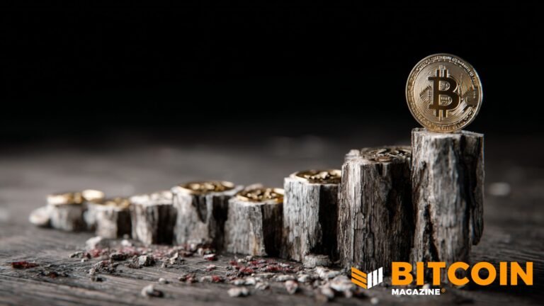 Bitcoin Moves Past Halfway Point In Halving Cycle As Supply Tightens Toward 2028